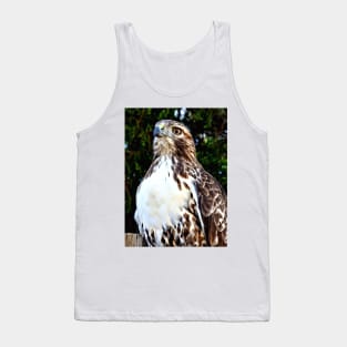 Adult Red Tailed Hawk Tank Top